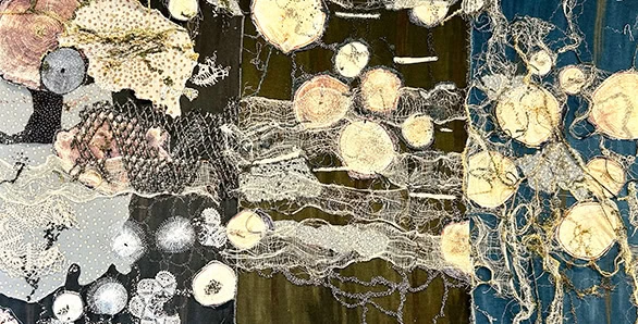 PROFUNDIDADES DEL ALMA Andy Loisch