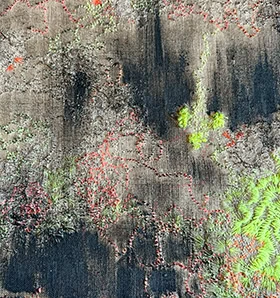 ESTALLIDO Andy Loisch